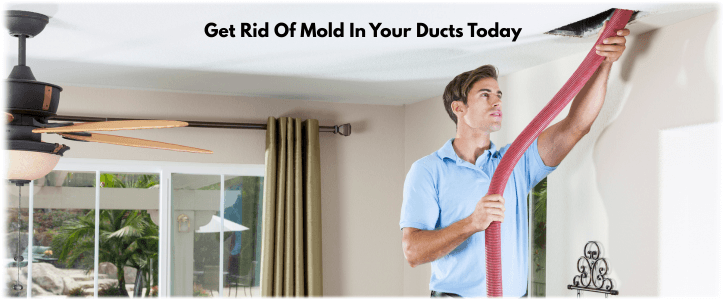 Air Duct Mold Removal in Dunwoody