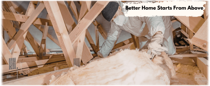 Attic Cleaning Dunwoody