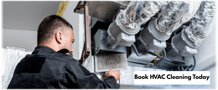 HVAC Mold Removal Dunwoody